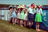 Steeple Chase Hats